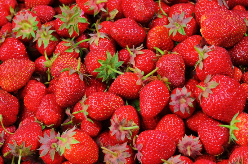 primeur-MOISSAC BELLEVUE-min_strawberries-528791